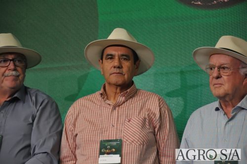 99-DIA-ENCONTRO-344