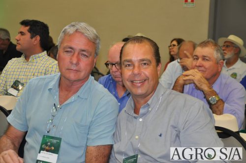 99-DIA-ENCONTRO-371