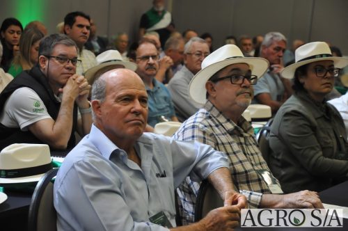 99-DIA-ENCONTRO-391