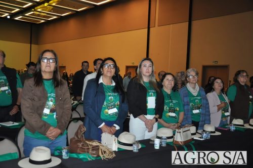99-almoco-senar-142