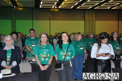 99-almoco-senar-152