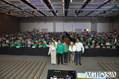 99-almoco-senar-188