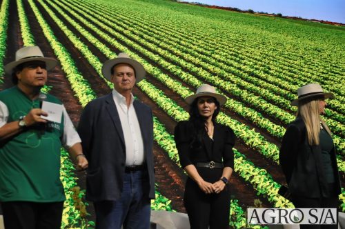 99-almoco-senar-204