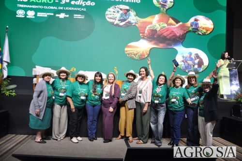 99-almoco-senar-213