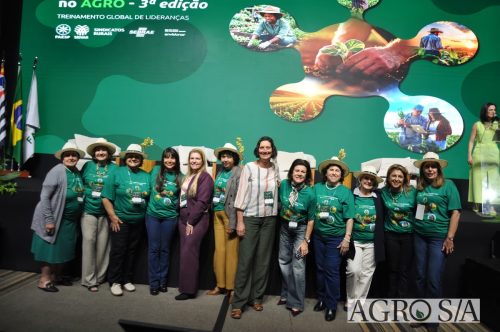 99-almoco-senar-89