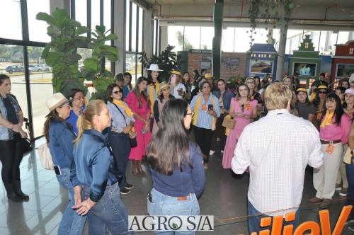 cooperativa-holambra-58