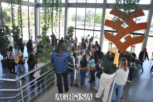 cooperativa-holambra-63