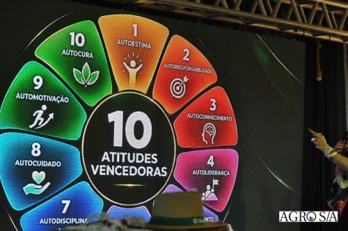 holambra-1-dia-218
