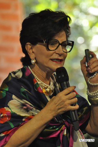 holambra-1-dia-321