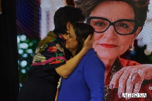 holambra-1-dia-325
