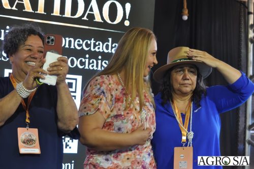 holambra-1-dia-359