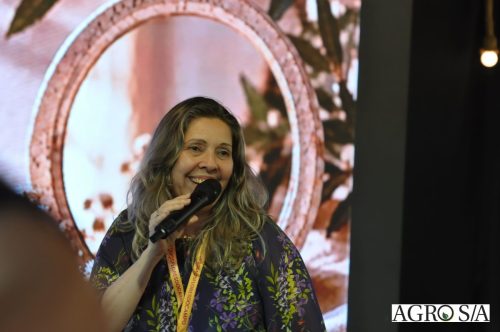 holambra-1-dia-498