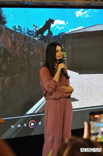 holambra-1-dia-519