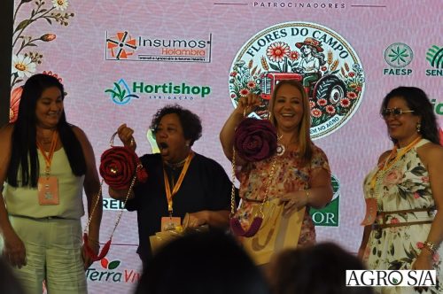 holambra-1-dia-533