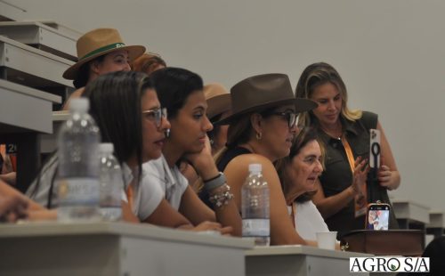 holambra-segundo-dia-103