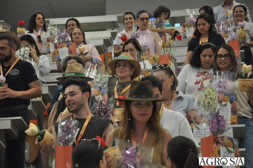 holambra-segundo-dia-121