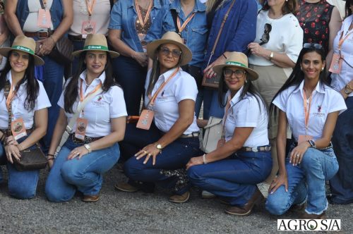 holambra-segundo-dia-146