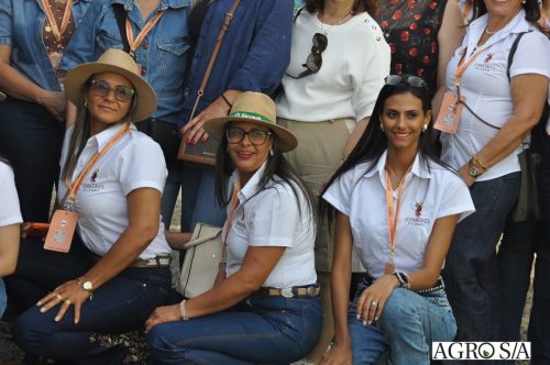 holambra-segundo-dia-155