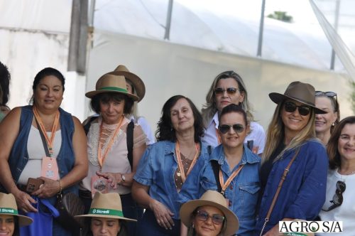 holambra-segundo-dia-158