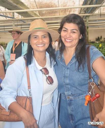 holambra-segundo-dia-18