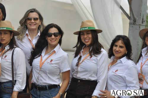 holambra-segundo-dia-201