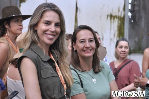 holambra-segundo-dia-236