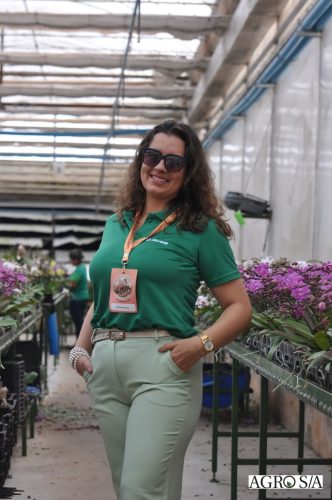 holambra-segundo-dia-245