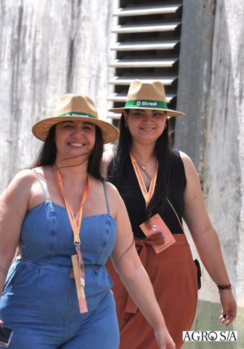 holambra-segundo-dia-265