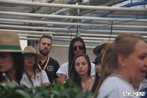 holambra-segundo-dia-28