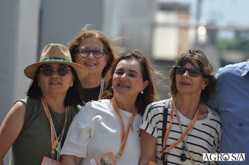 holambra-segundo-dia-286