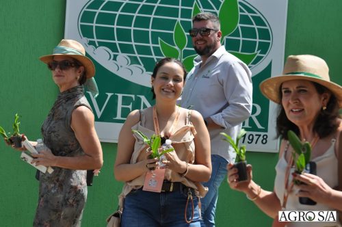 holambra-segundo-dia-300