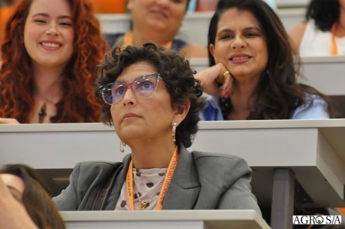 holambra-segundo-dia-385
