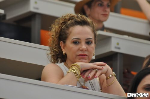 holambra-segundo-dia-386