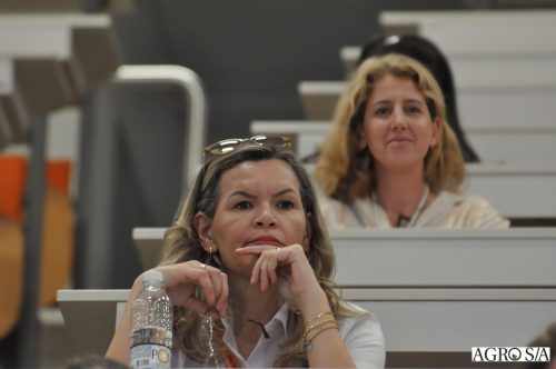 holambra-segundo-dia-394