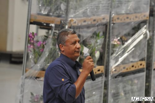 holambra-segundo-dia-405