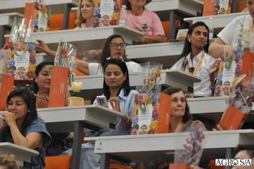 holambra-segundo-dia-409