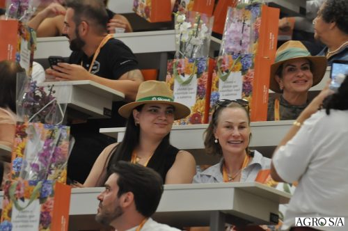 holambra-segundo-dia-411