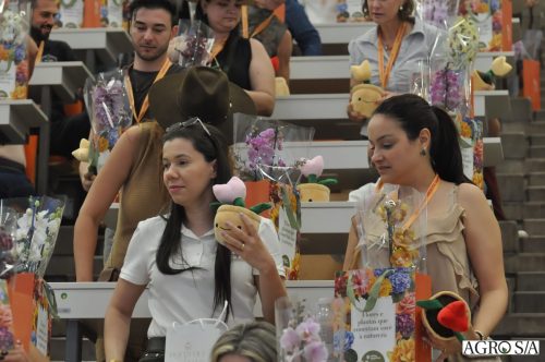 holambra-segundo-dia-414