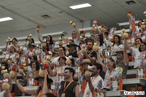 holambra-segundo-dia-419