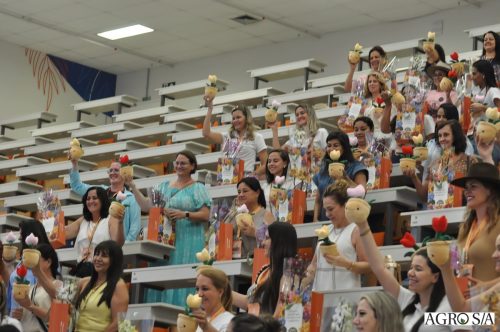 holambra-segundo-dia-421