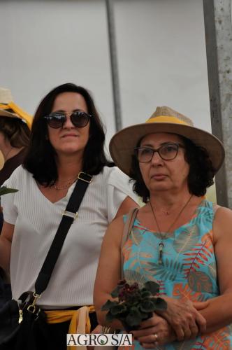 999sitio-marisa-104