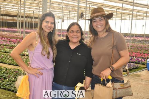 999sitio-marisa-113