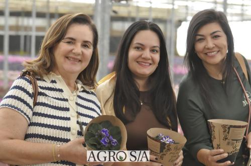 999sitio-marisa-18