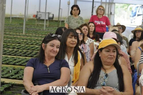 999sitio-marisa-22