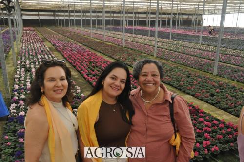 999sitio-marisa-26