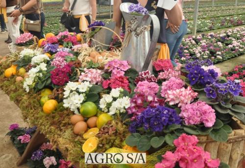 999sitio-marisa-45