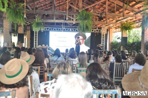 face-pier-219