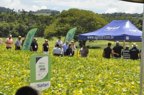 JERIQUARA-DEDEAGRO-108