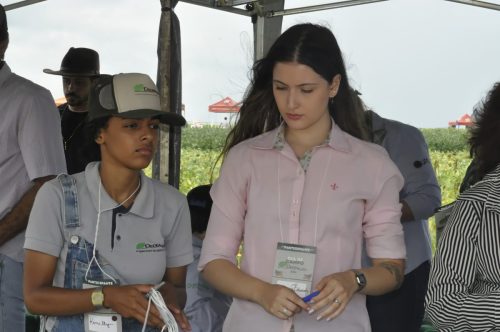 JERIQUARA-DEDEAGRO-11