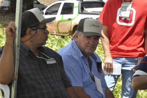 JERIQUARA-DEDEAGRO-126